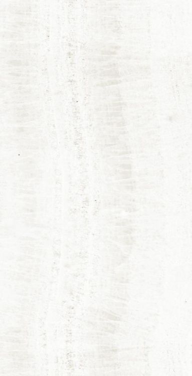 OL Onyx White Polished 12 x 24